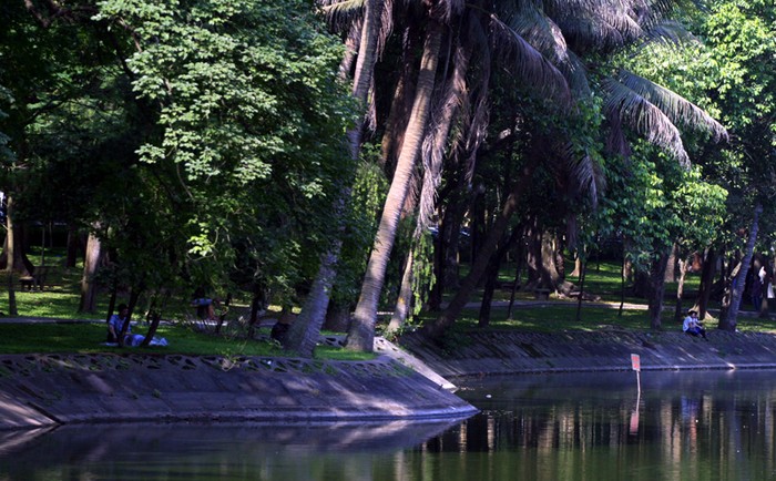 Công viên Bách Thảo được xem là một trong "ốc đảo" của người dân Hà Nội những ngày này vì có hồ nước rất rộng và đặc biệt nhiều cây xanh, gió mát